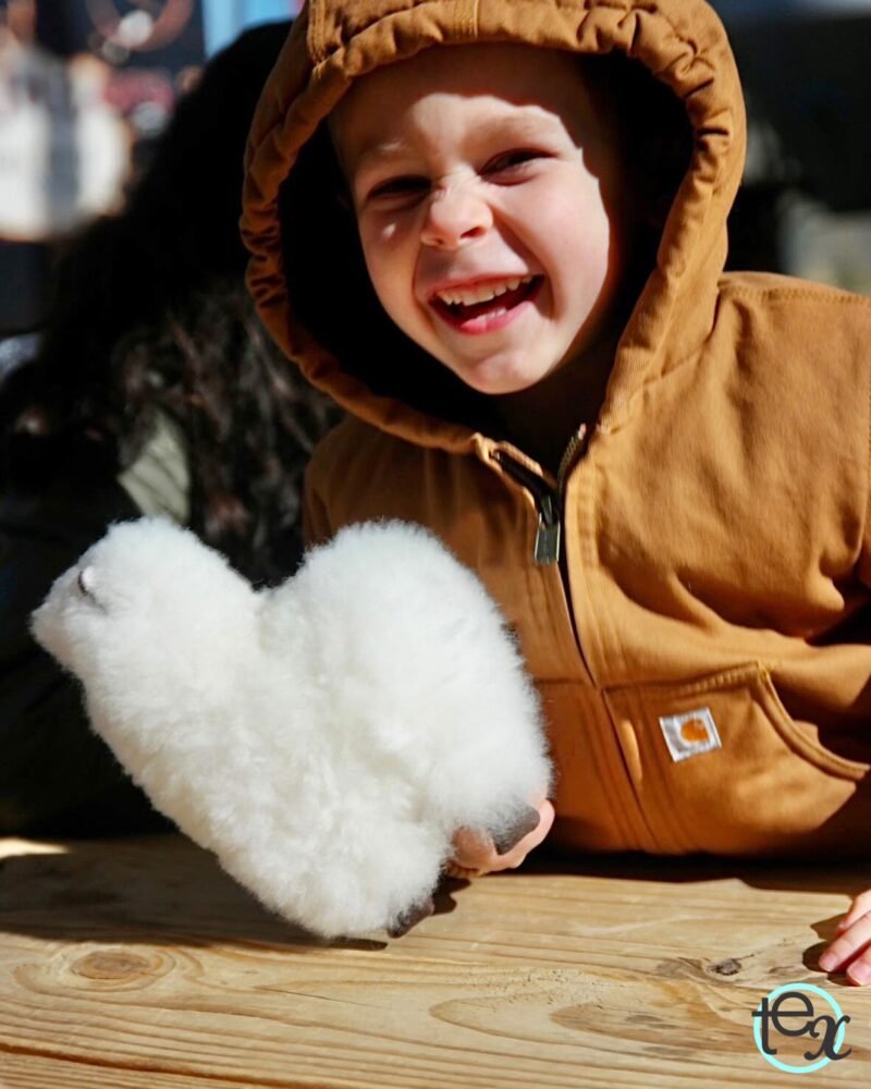 Alpaca Fur Stuffed Animals