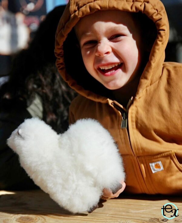 Alpaca 9” (beige, white, gray, brown, pink, coffee, mixed) - 100% Alpaca Fur - Image 17