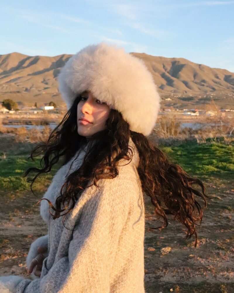 Alpaca Hats