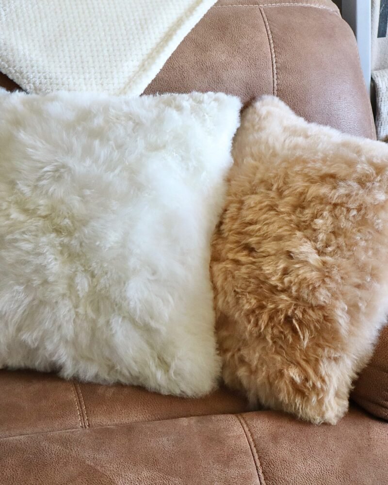 Pillow Cases