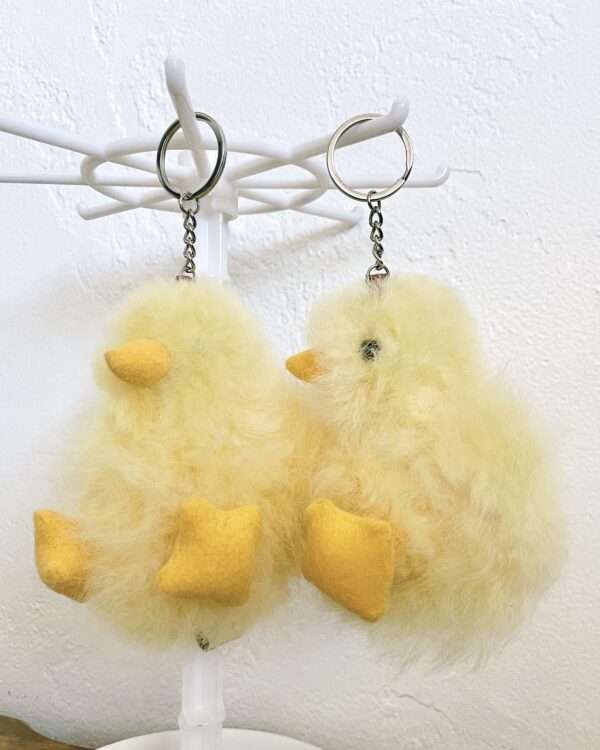 Chick - Image 2