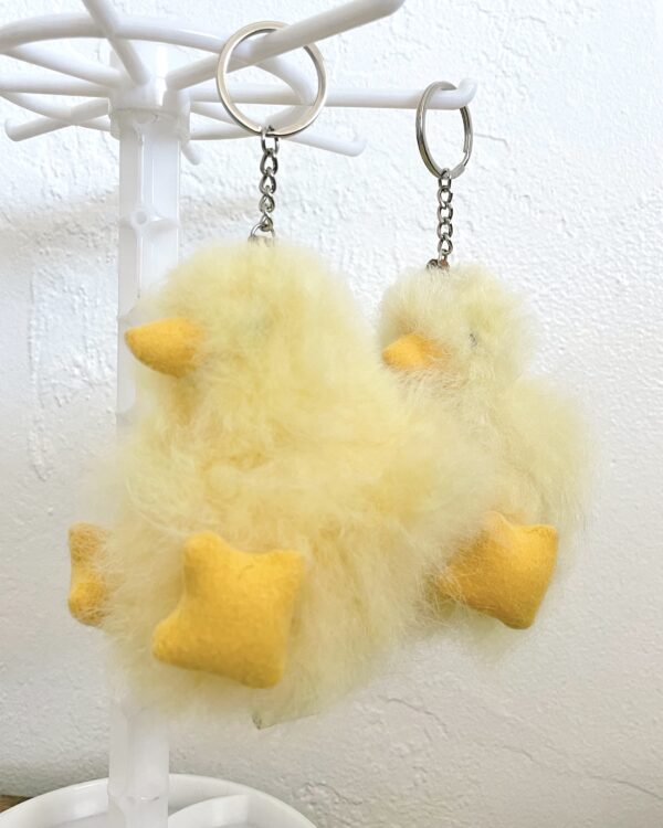 Chick